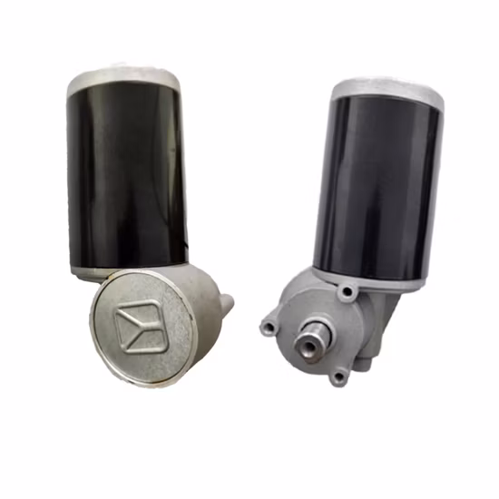 12 Volt DC Worm Gear Small Motor China Supplier for Smart Electric
