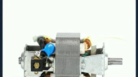 Newly Design Long Lifespan 300W AC Capacitor Range Hood Motor with Copper Wire